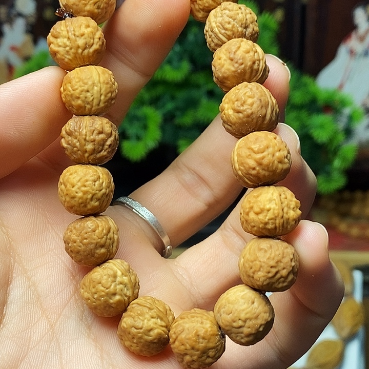 橄榄核手串/手链hhhhhhbbbbbbbbbbbbnnnn
