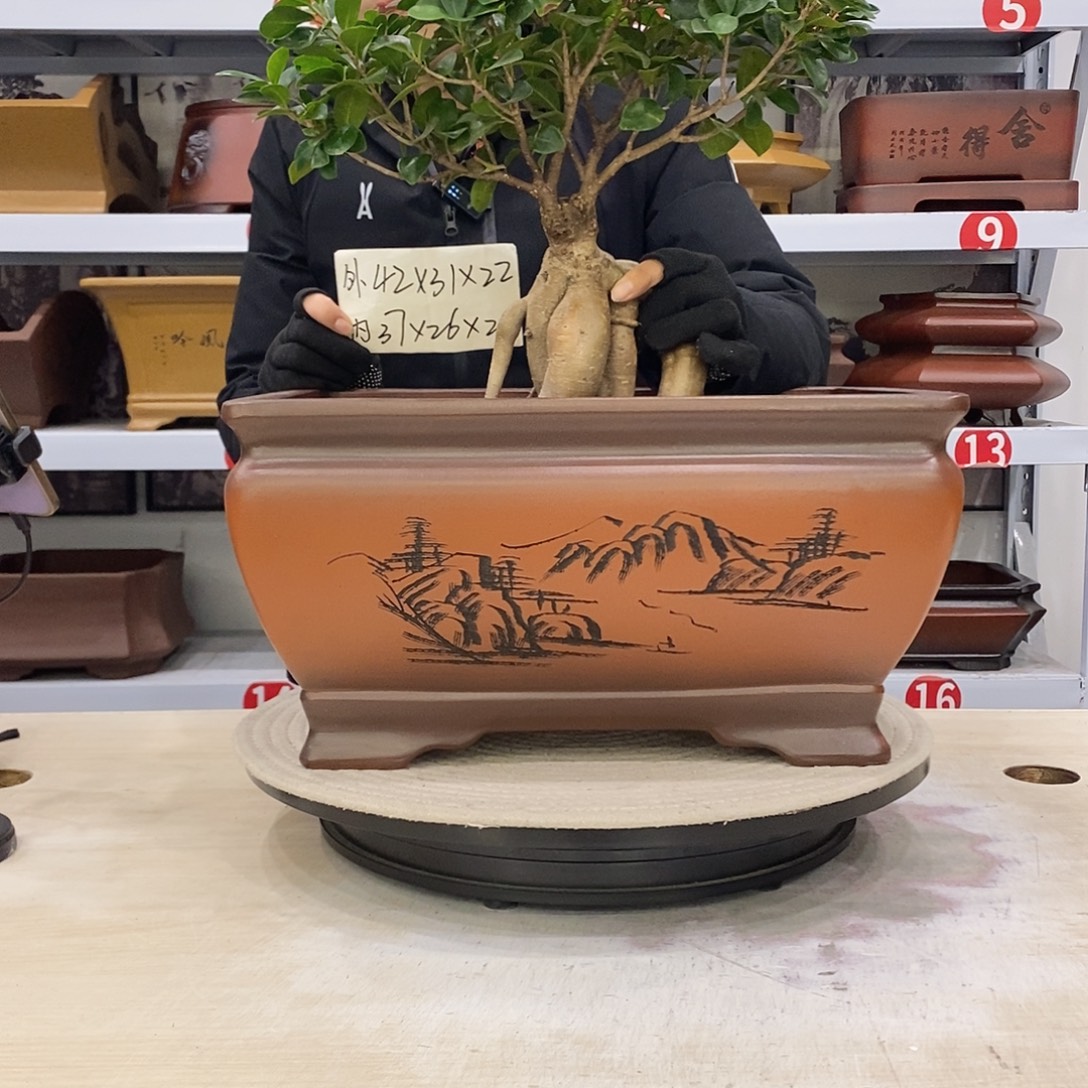 紫砂花盆紫砂花盆