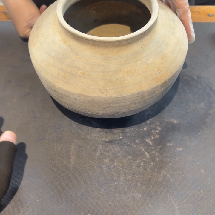 王***来瓷片拾六家的瓷器瓷器