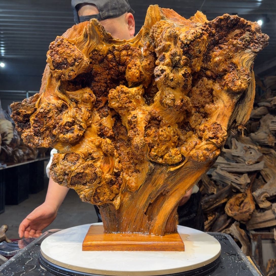 用***4木王一刀琥珀木摆件23