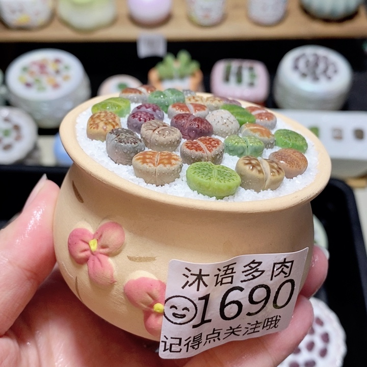 精美盆栽 一物一拍 1690