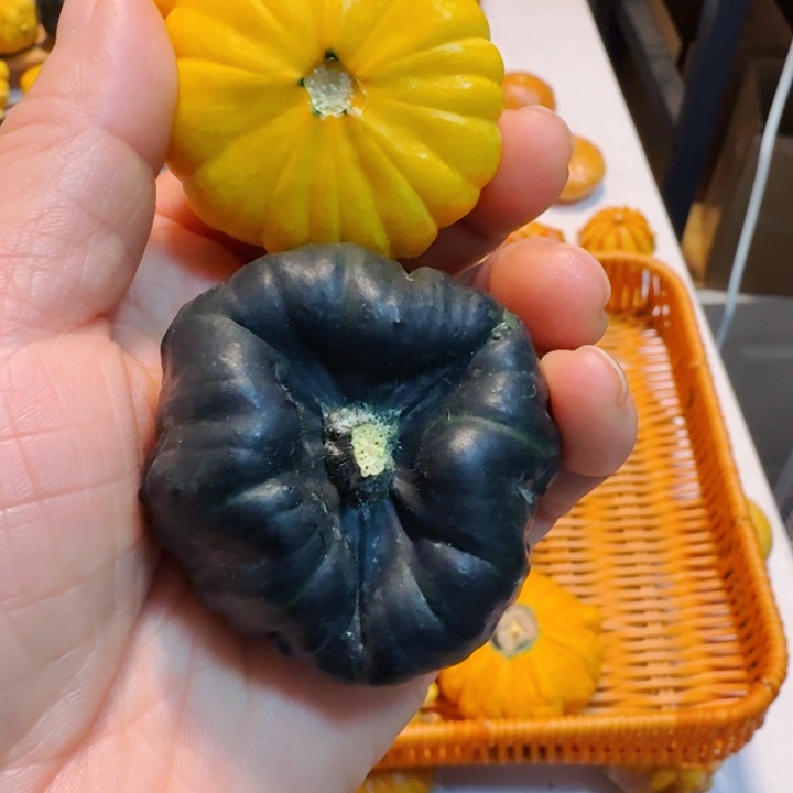 家**宝墨西哥七彩葫芦青皮