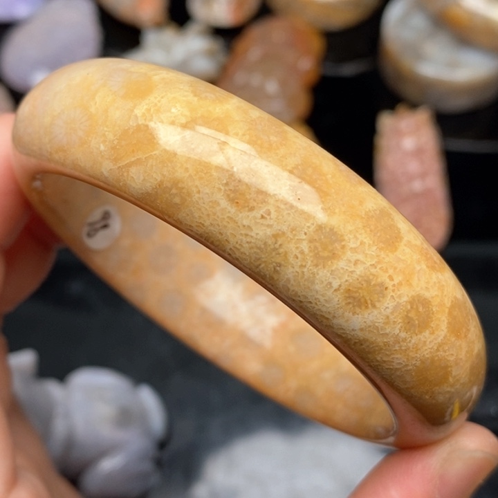 硅化珊瑚（珊瑚玉）手镯9K金镶嵌60.8