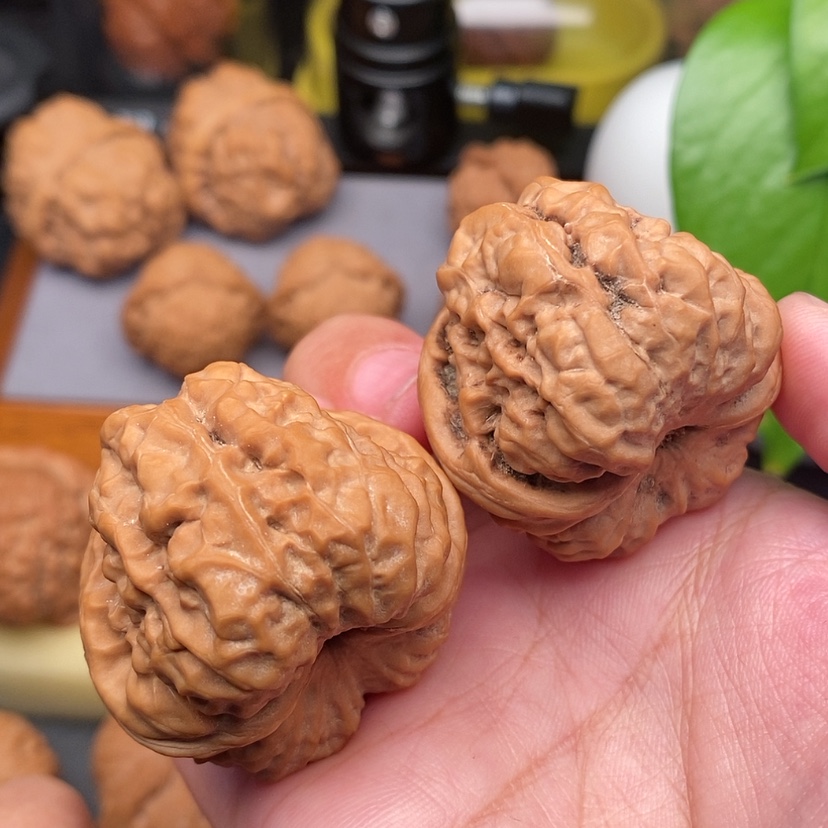 【闪购商品】文玩核桃把件蛤蟆头38.5