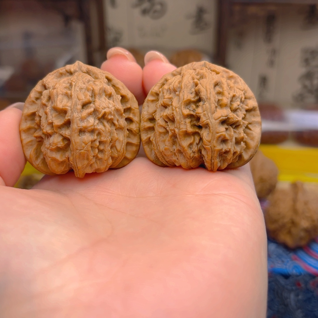 胖***.白狮子头四十尺的