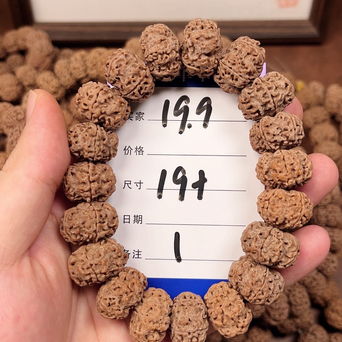 手串金刚菩提1号