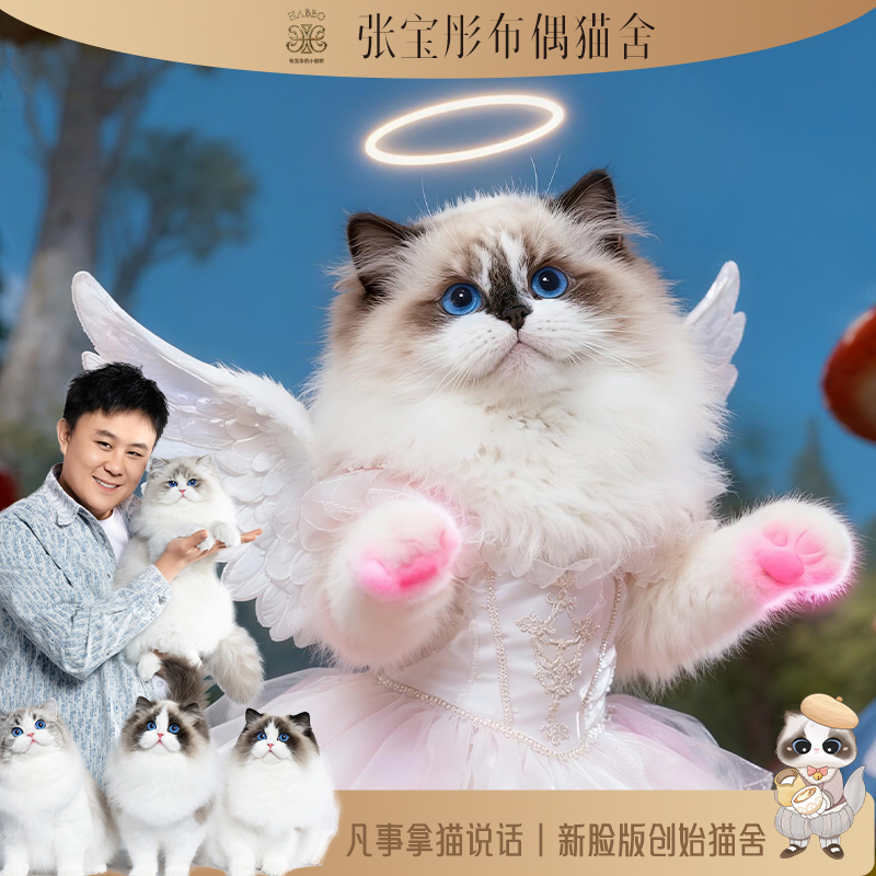 张宝彤布偶猫舍-奥利奥弟弟 | 新脸版创始猫舍