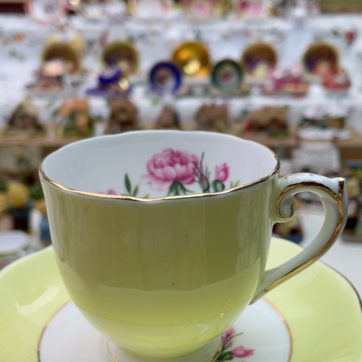 盘维多利亚欧洲中古