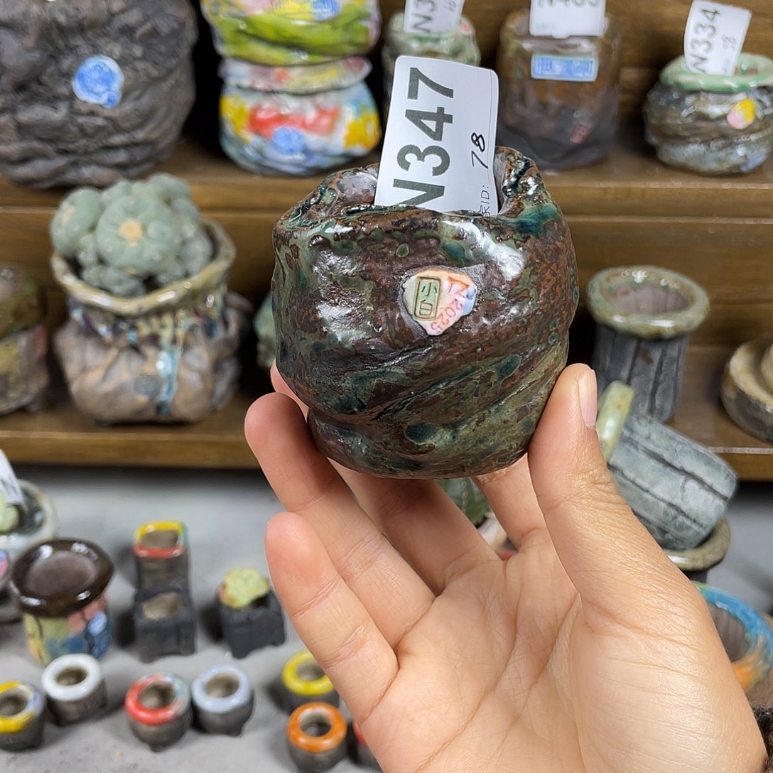 坛子姐花盆 小白孤品 内口4 百搭