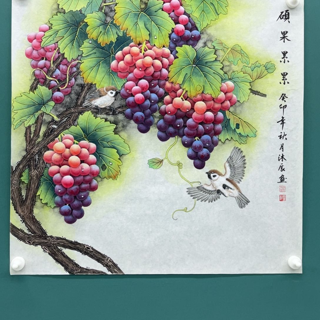 国画泉**鲤画画画画画