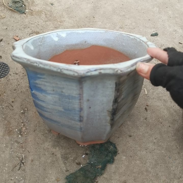 红陶21/17瑕疵一个