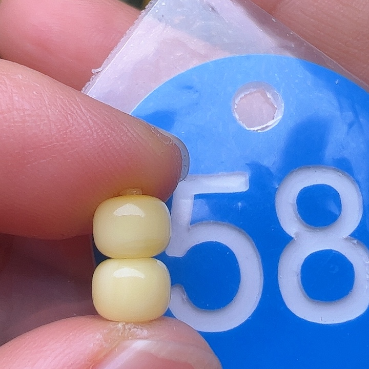 蜜蜡裸石未镶嵌6.3m m