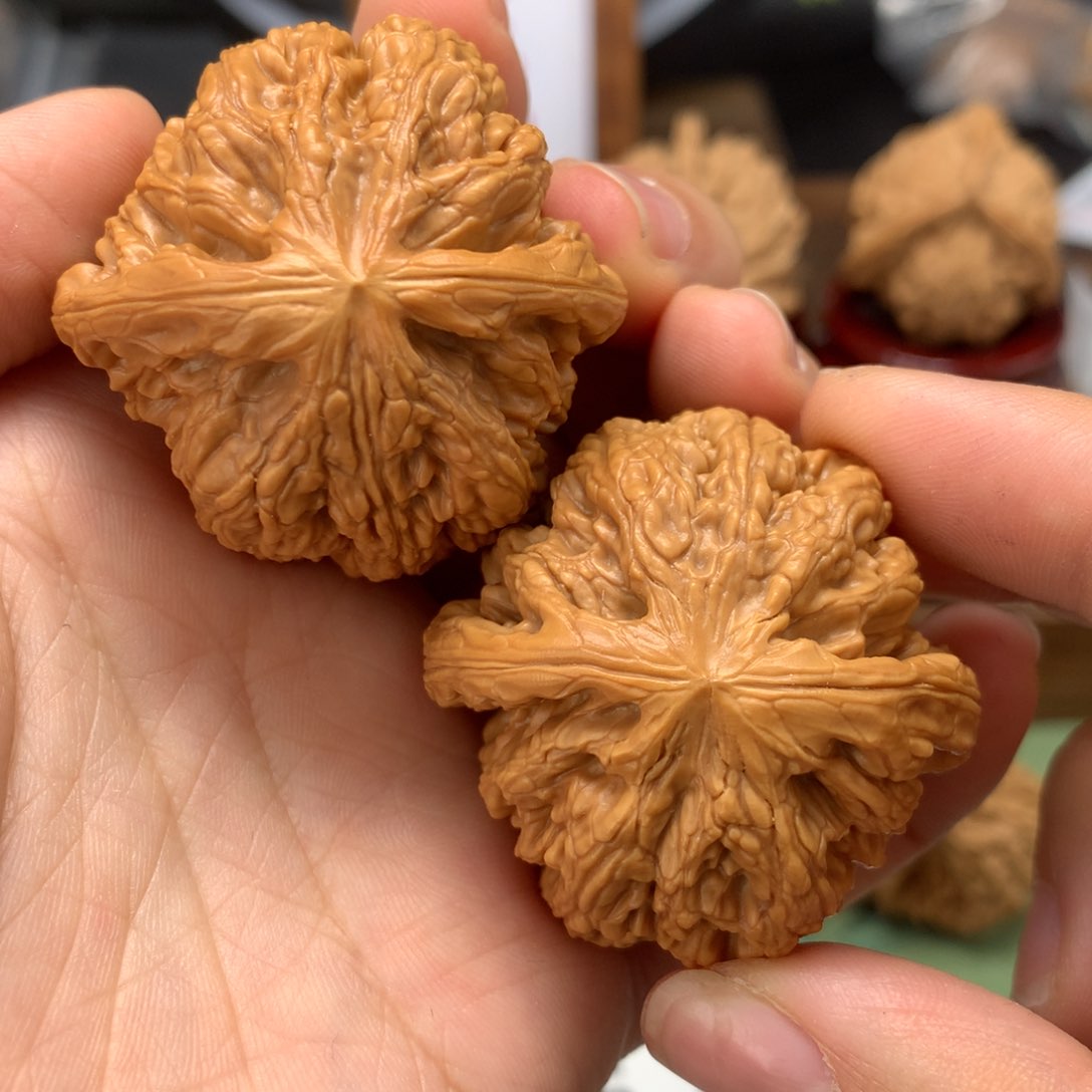 文玩核桃吊坠42粗筋