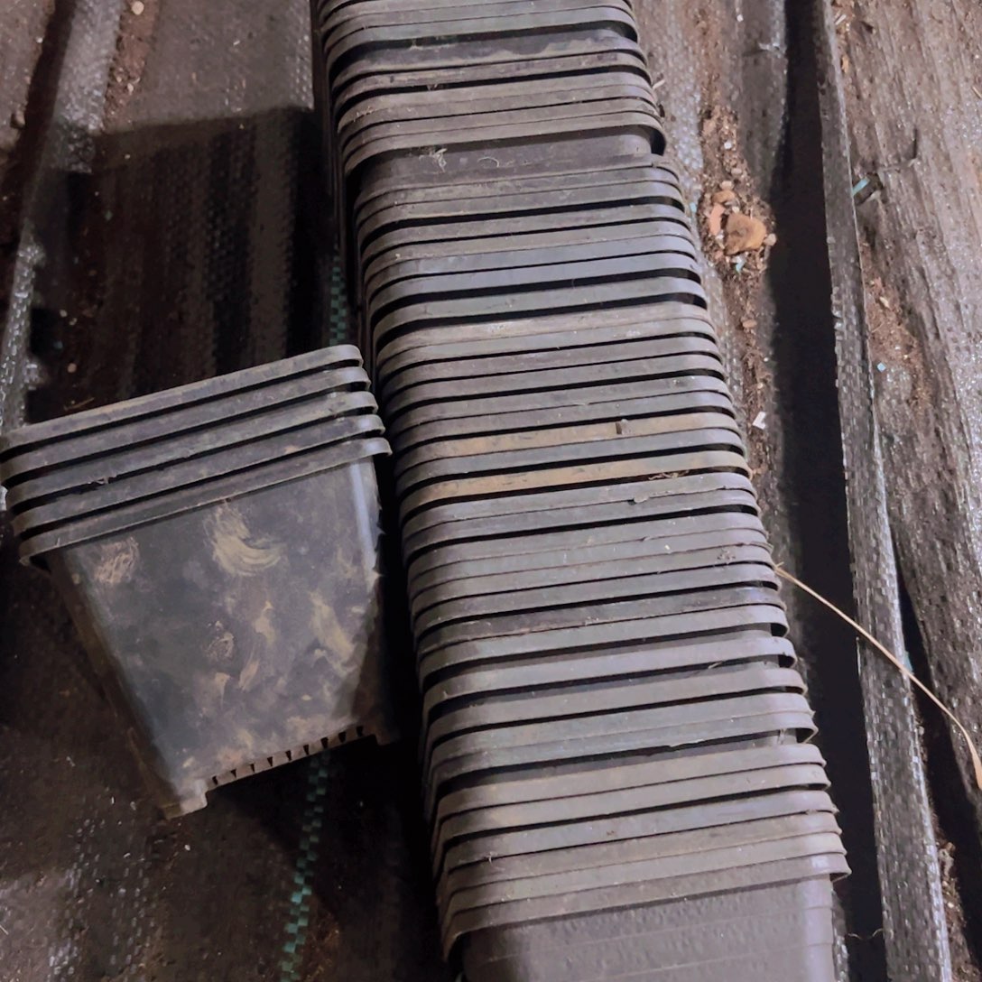 塑料120旧黑方11.5口径 8.5高 25个