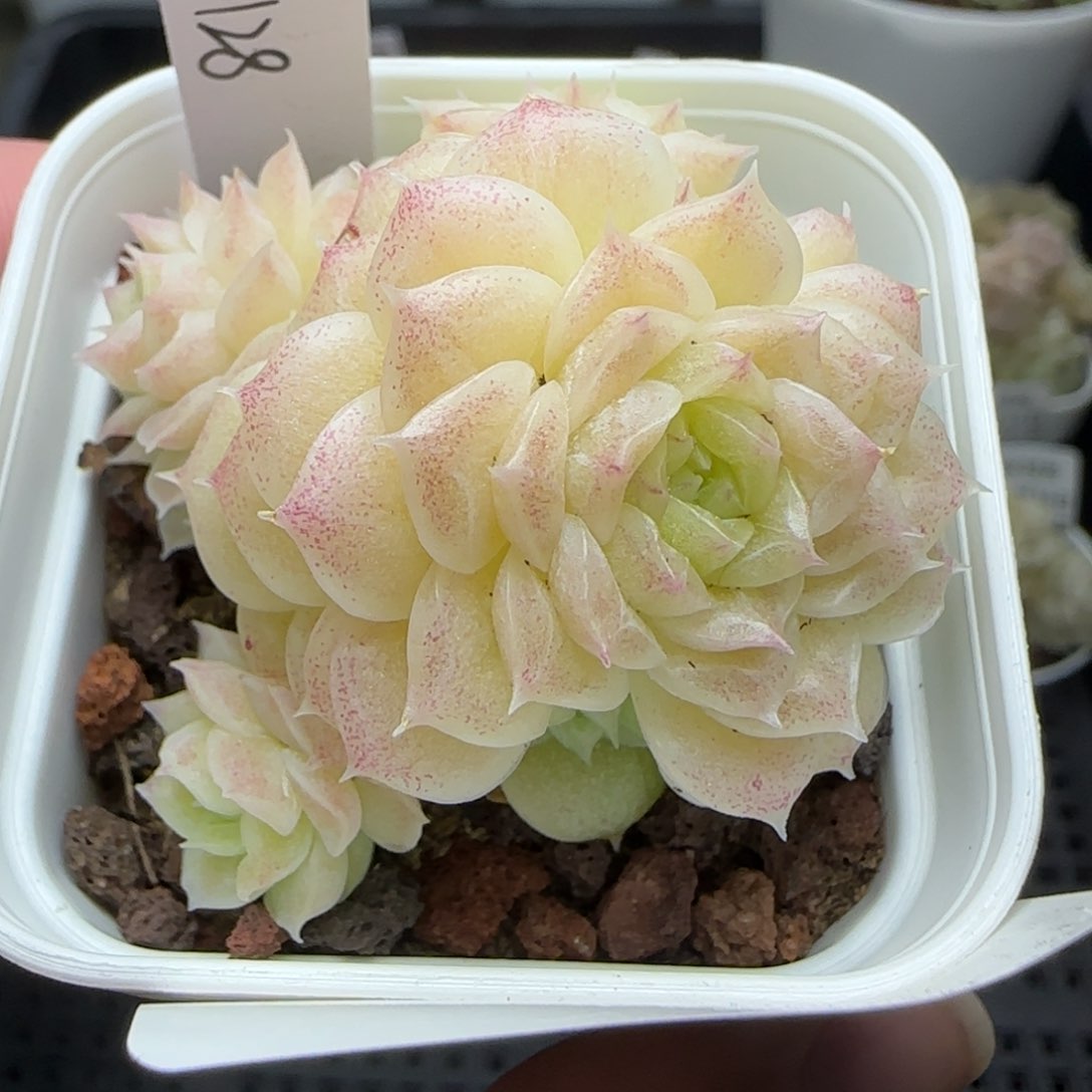 0216-180（HT-128）