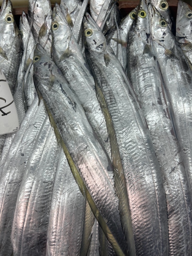 湛江本港野生海捕带鱼 刀鱼 一斤2条左右 帮杀 原条发货