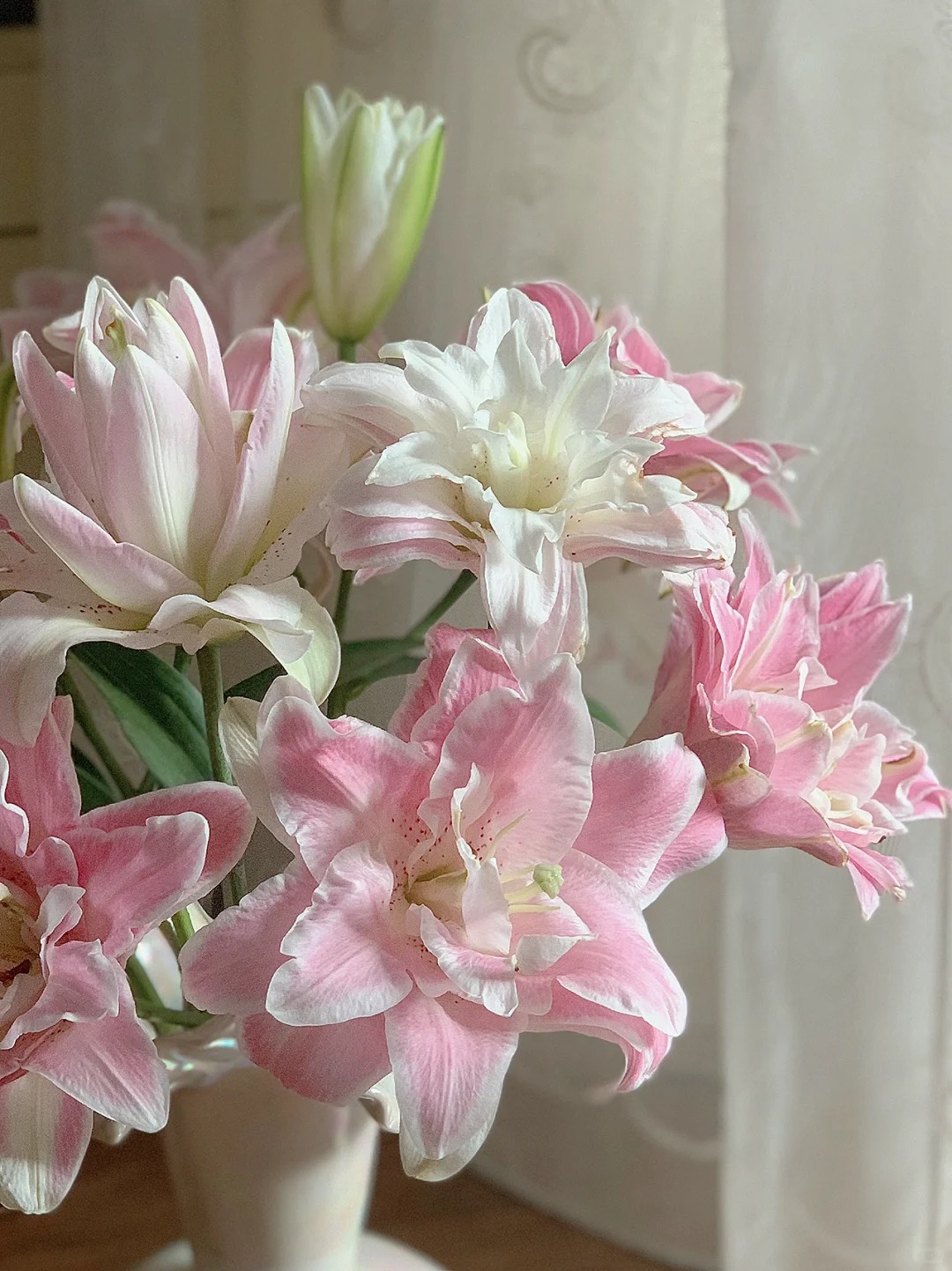 （曼曼）3头魔法公主重瓣百合5支      20%防损鲜花任意2单包邮