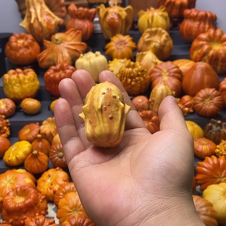 风***扬大叶紫檀（黑酸枝木类）