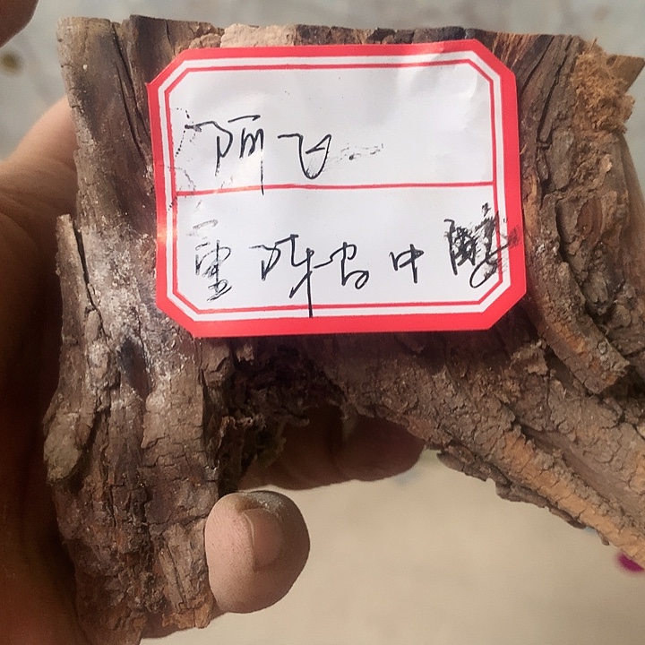 阿***籍大叶紫檀（黑酸枝木类）