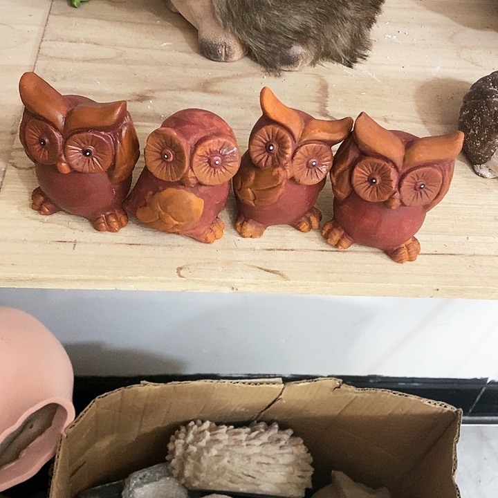 合成树脂Dghgghjhgghh