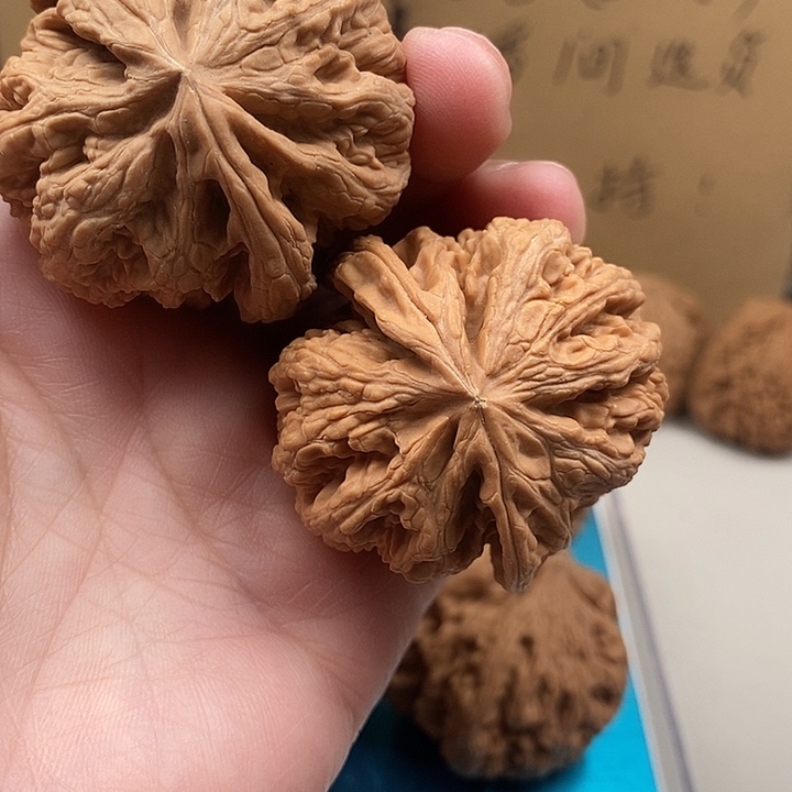 冰***封木质类154.154.154