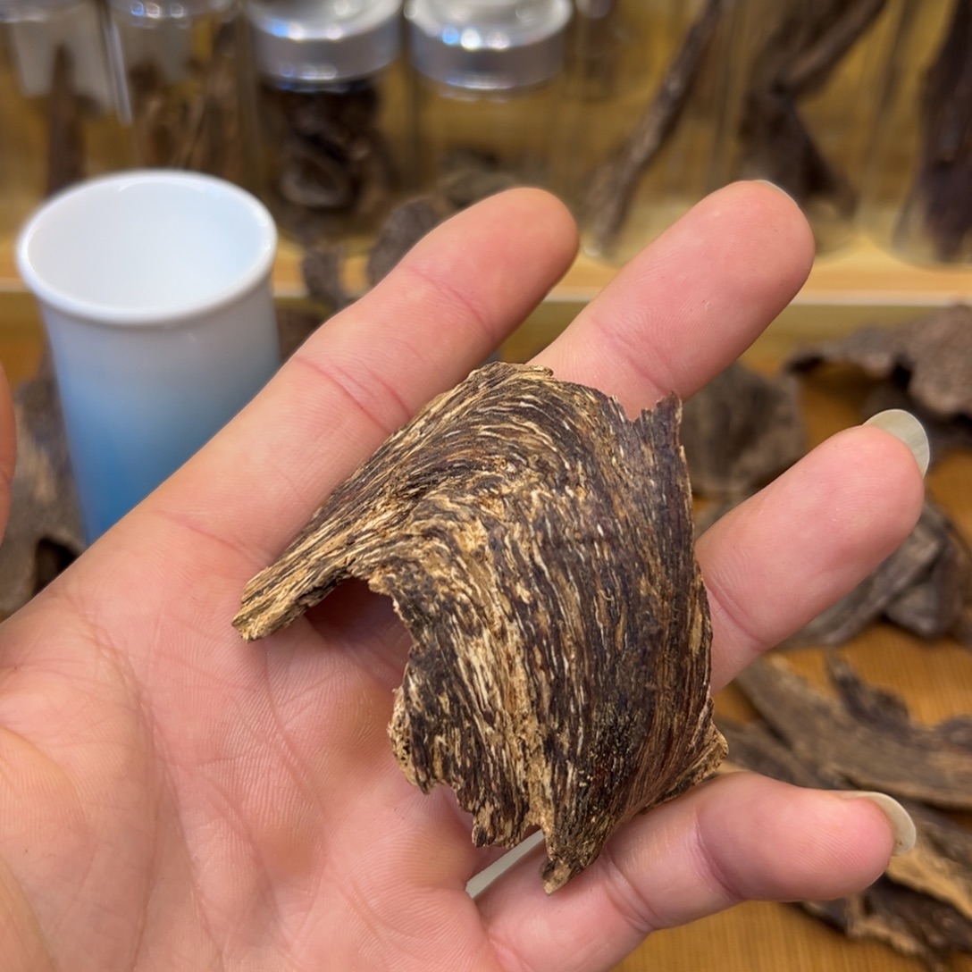 香港天然老树根2.93g