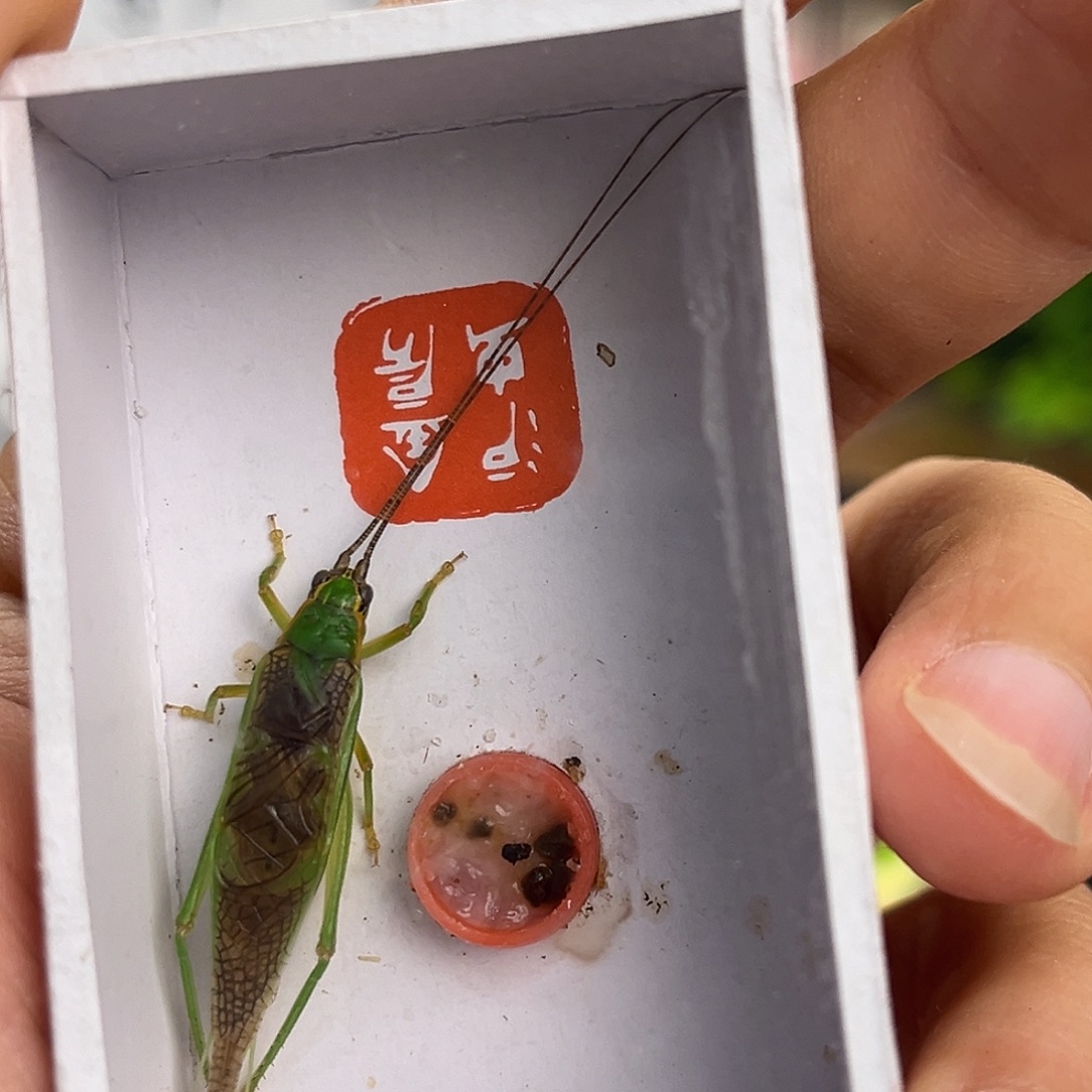 n***k哈哈哈哈哈哈哈啊哈哈