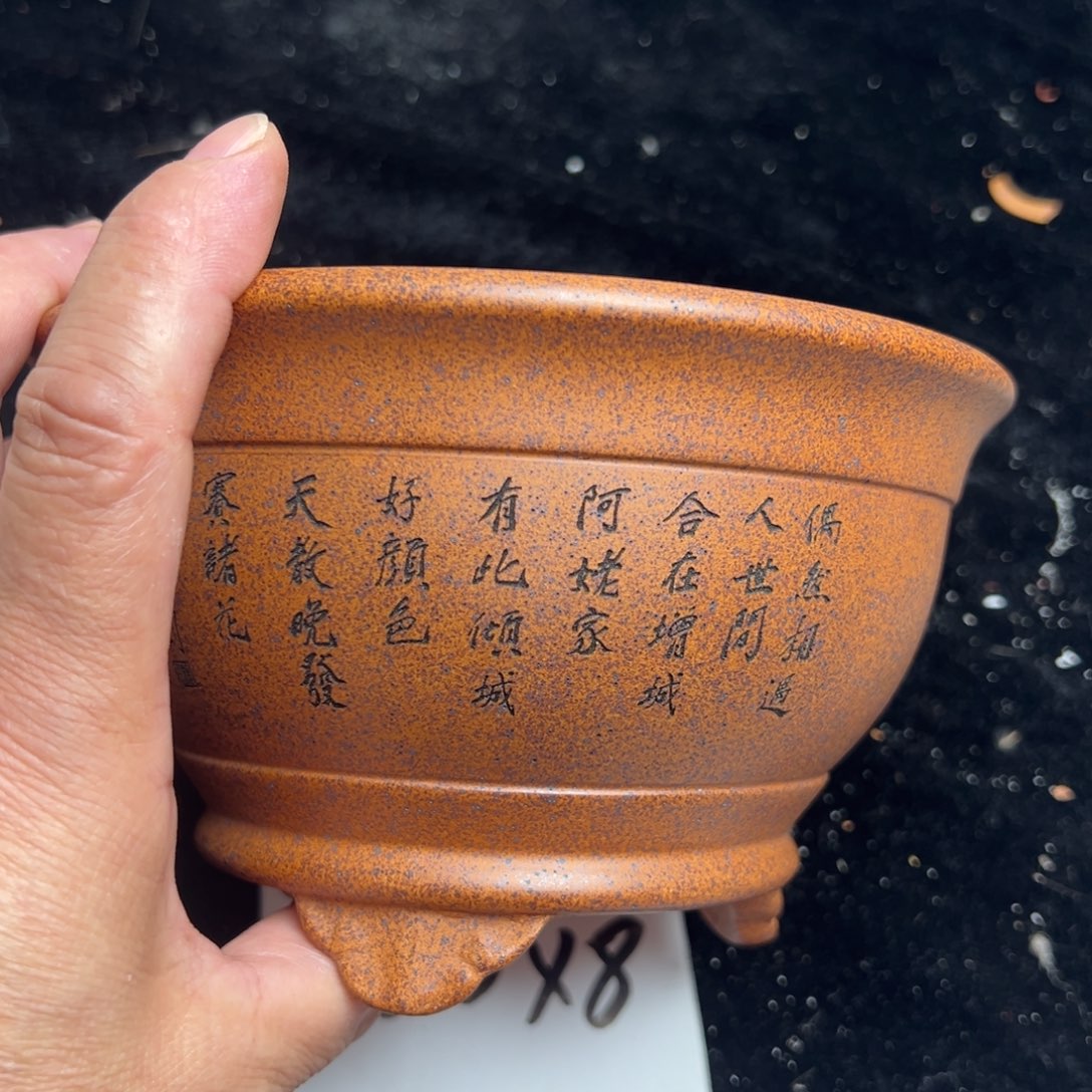 wwwwwwww娥娥薇薇