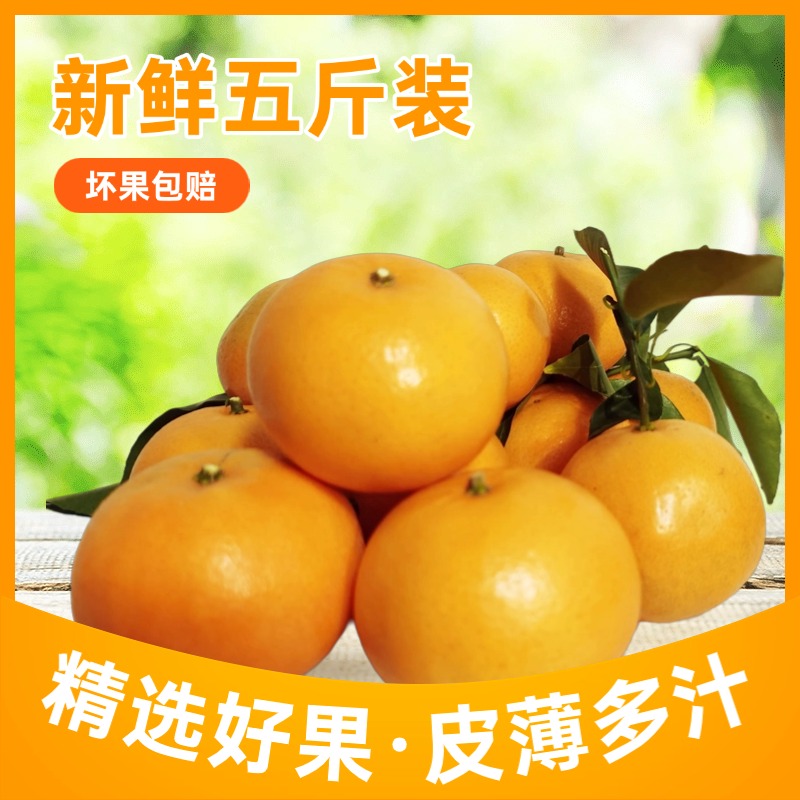 【坏果包赔25-30个】当季沃柑橘子沃柑新鲜水果桔子带箱5斤包邮