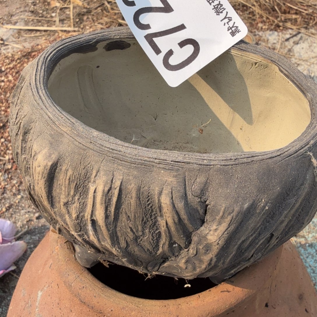 重庆小燕子欢迎大家723