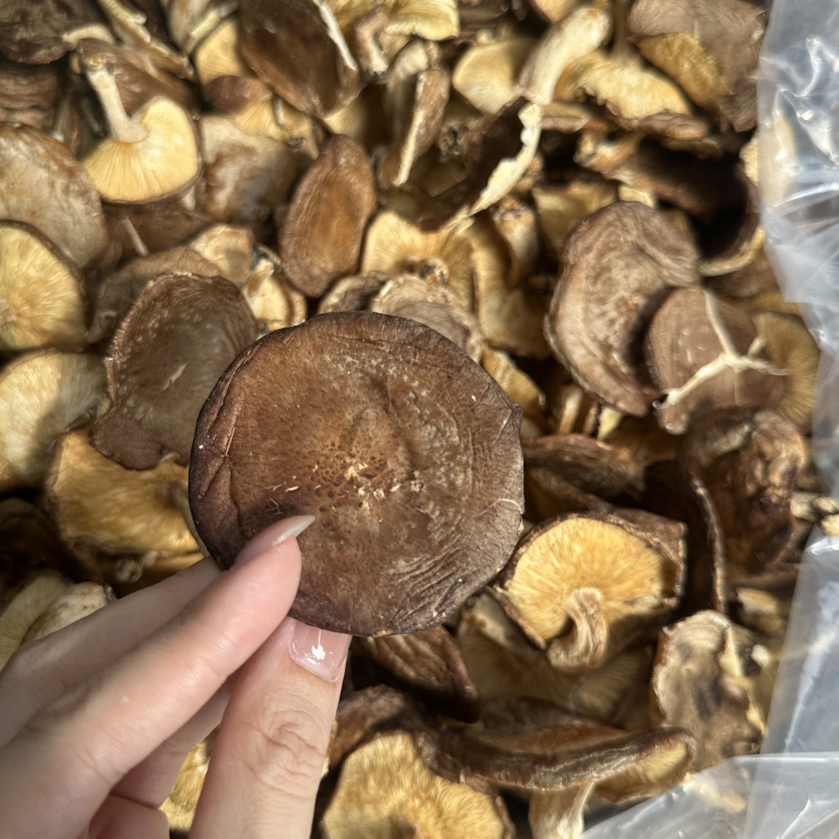 佟妈煌煌超好吃的香菇