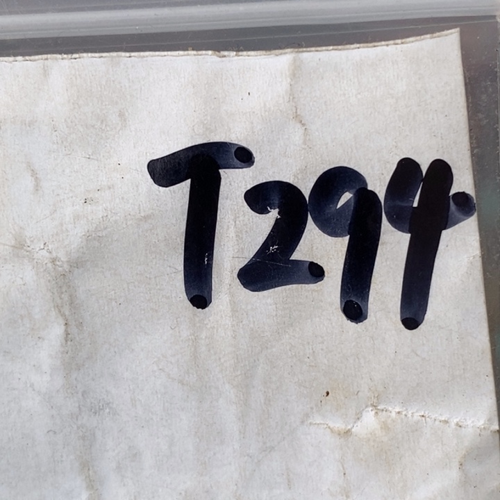 现***》民间喜乐购物直播间专属链接