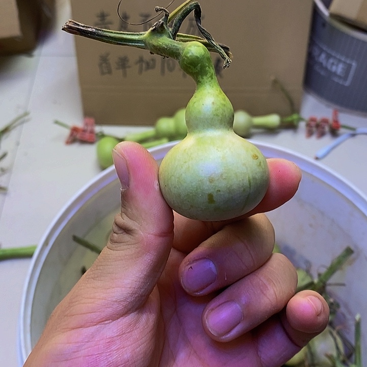 一***?长嘴哈哈哈哈哈哈哈哈哈哈我