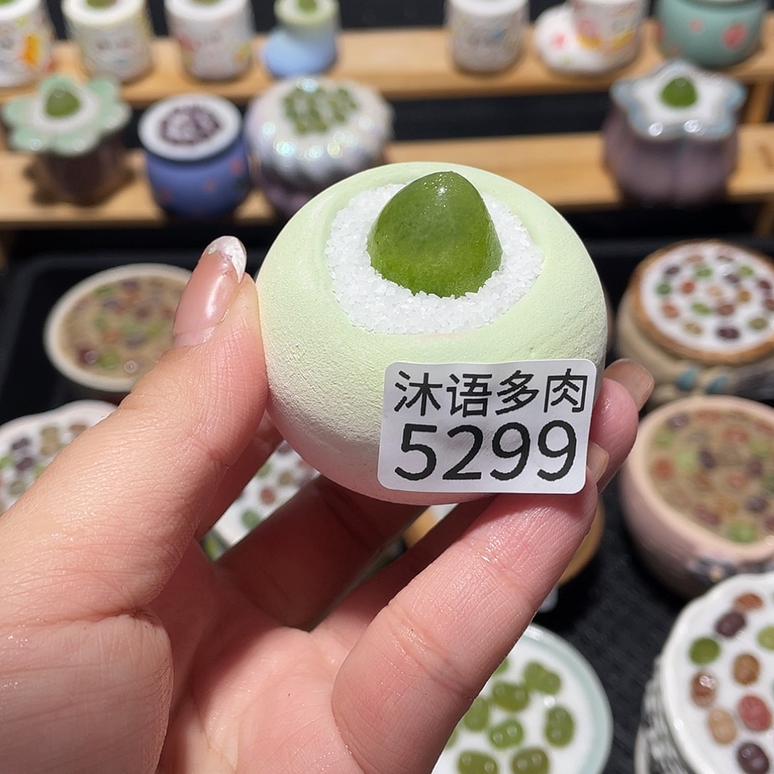 一****带盆土植物 一物一拍5299