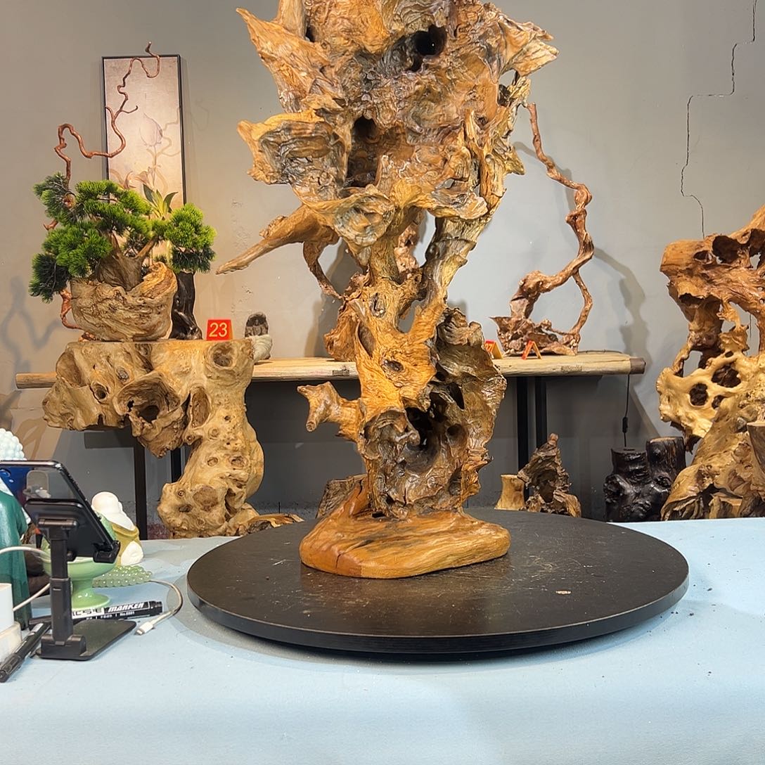 漾***子香榧木根雕摆件222222222
