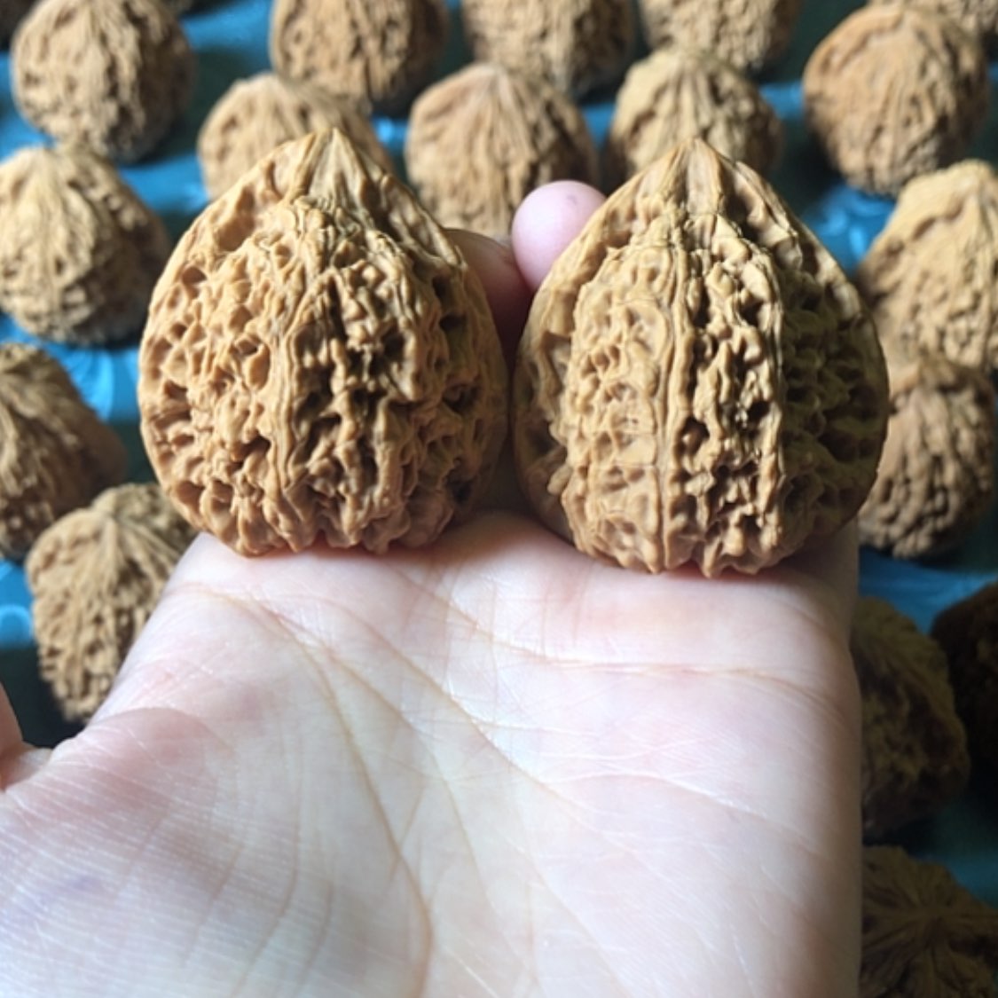 【闪购商品】文玩核桃把件一大将