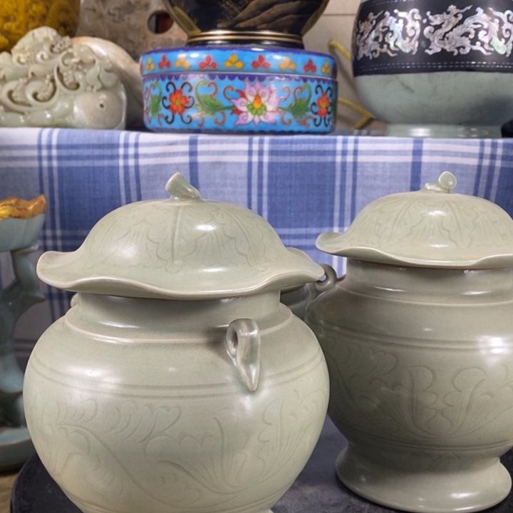 瓶用****2陶泽如花儿盛开了