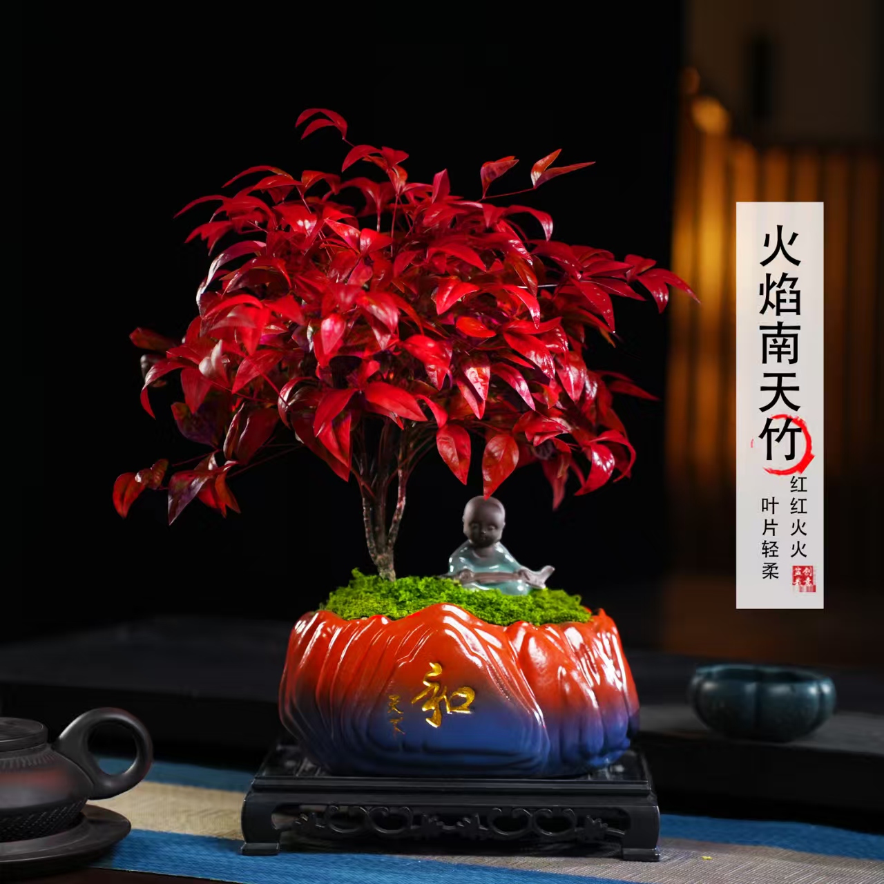 【越冷越红】大火焰南天竹客厅绿植桌面盆栽好养易活禅意创意盆景