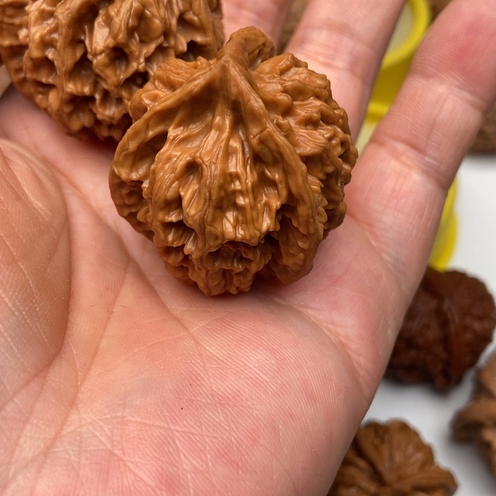 H***〇三棱8888888888