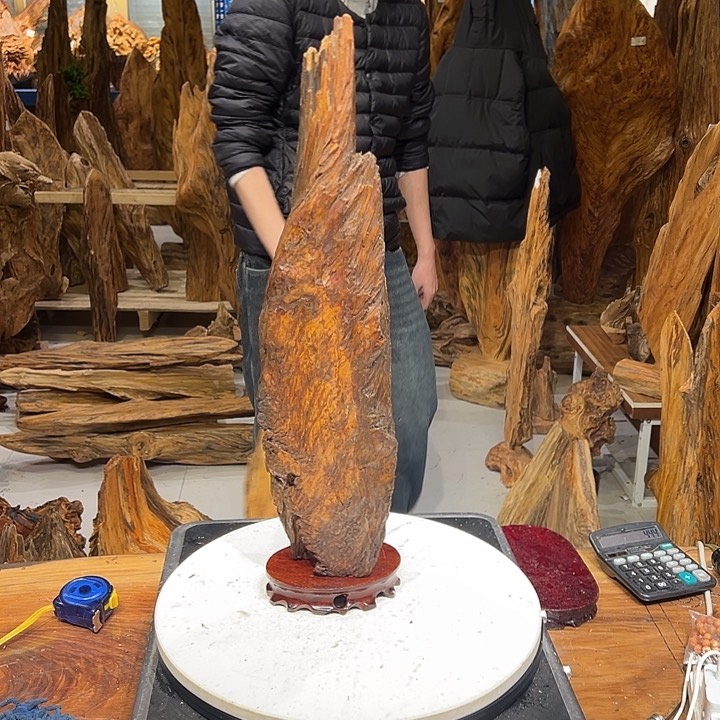 松木（琥珀木）礼琥珀