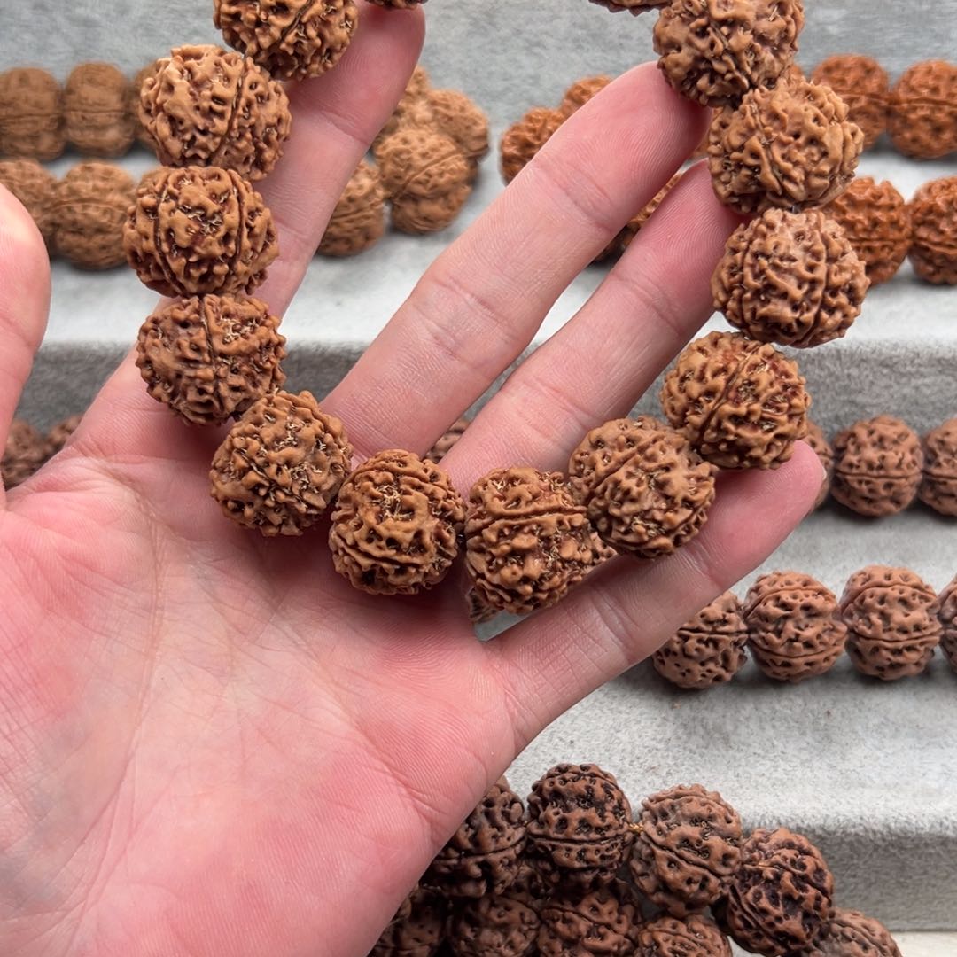 金刚菩提手串骑****浪柴王