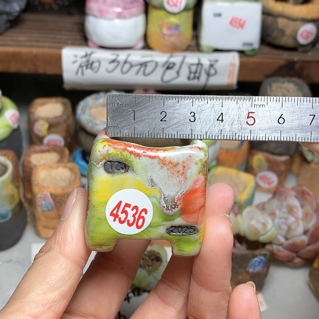 红陶拍5送一个小