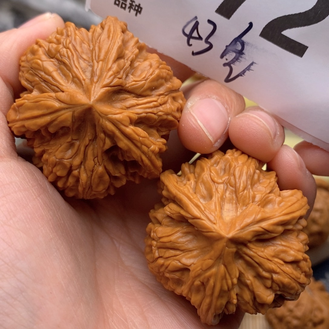 文玩核桃把件172号43全玉龙粗筋