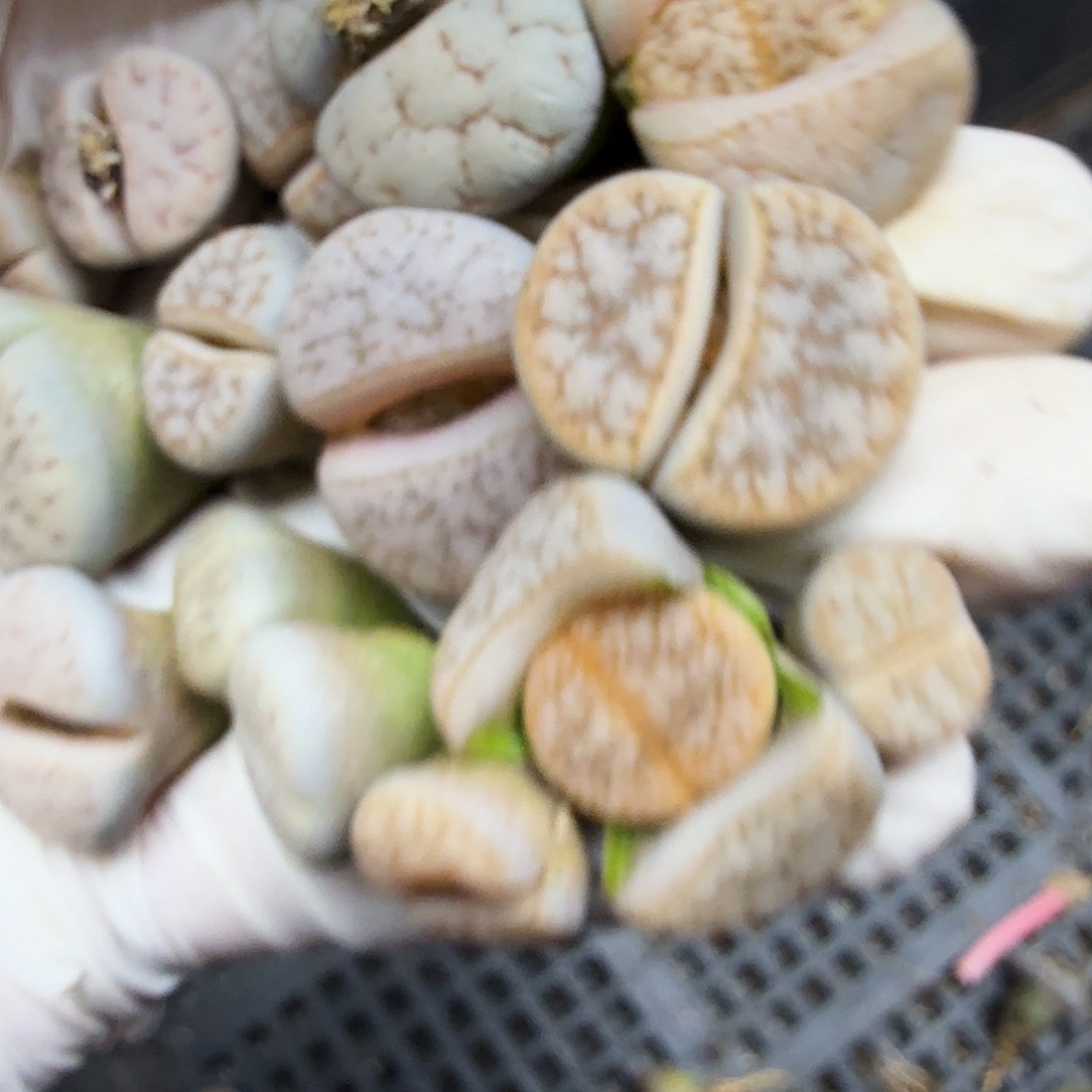 你不去上班就好的哦131哈哈