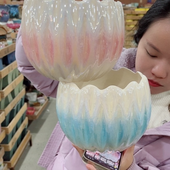 红陶直播间已有一年