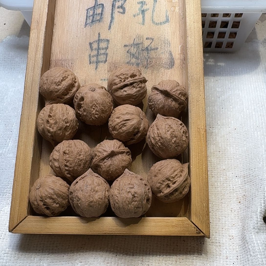 核桃手串/手链5号边24手串