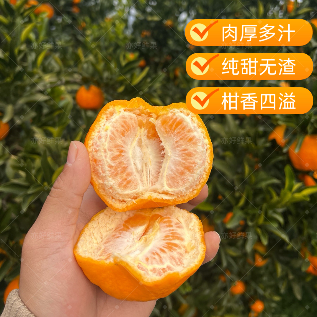 湖北正宗清江椪柑