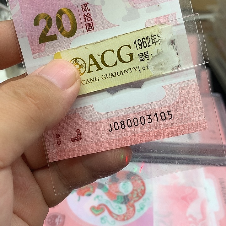 塑料蛇钞5龙珠一张尾080003105一张