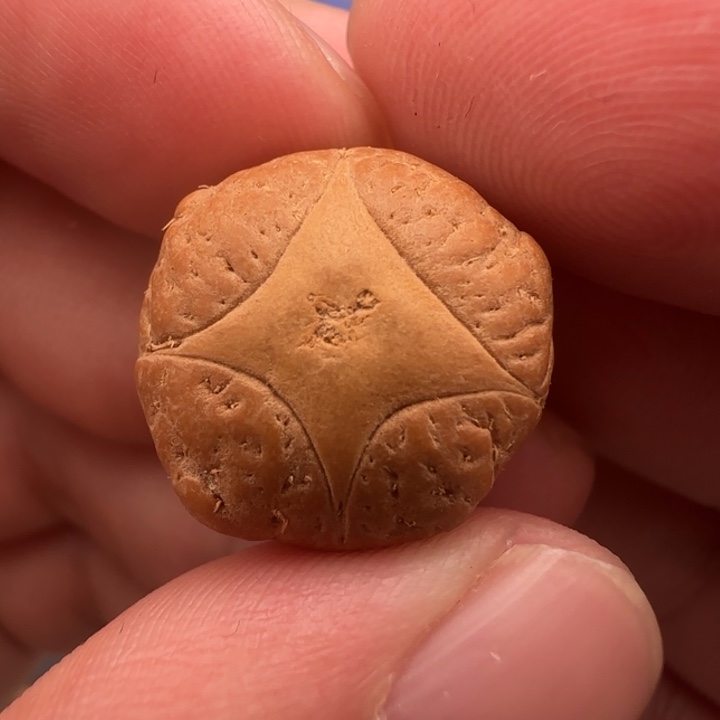 老***高吊坠凤眼菩提18➕精品麒麟