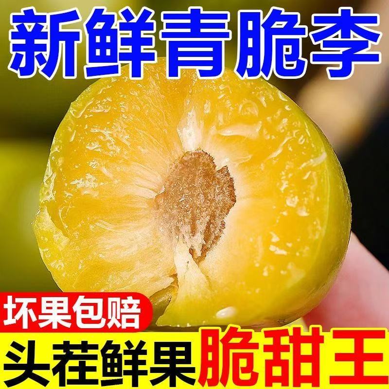 5斤青脆李脱骨李现摘现发坏果包赔